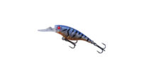 Isca Artificial Bicudinha 01 - Albatroz Fishing