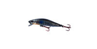 Raptor Minnow 70 N1 - Marine Sports