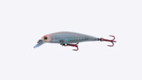 Isca Artificial Savage 65 Cor T006 - Marine Sports