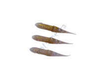 Isca Artificial Soft Black Shad 10cm Dourado - Black Pearl