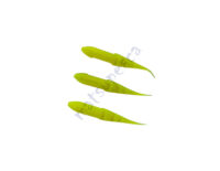 Isca Artificial Soft Black Shad 12cm Verde - Black Pearl
