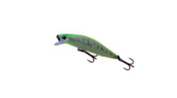 Raptor Minnow 70 32 - Marine Sports