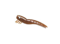 Camarão DOA 4" Bloodworm 451 - DOA